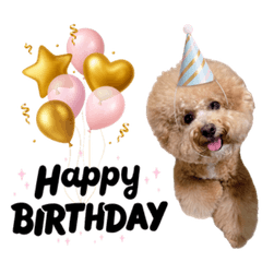 鄭豆豆黏人日常-祝賀