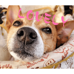 etu pirka_20260414144242