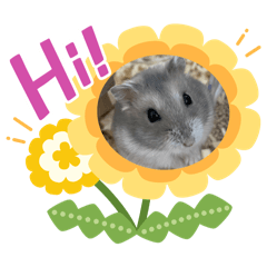 Erichu_20260414142344