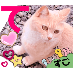 Mochioba_20260415135045