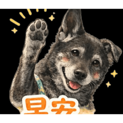 秋香多多的貼圖