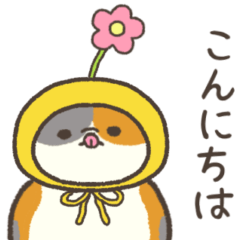 Melting cat. Springtime for the Calico.