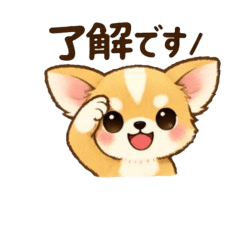 Adorable Chihuahua Pack