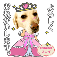 Sky's Daily Conversation Stamp 2