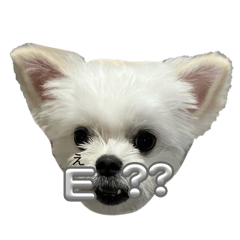 Hanchan_20260415122909