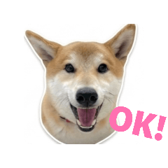 Yukers_20260411160117