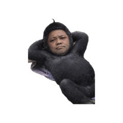 Full Moon Night_20260411162724