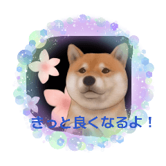 nekothan.inukinsutanpu9