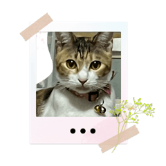 Kanate_20260411162849