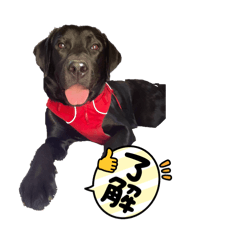 Nassy_20260414145545