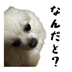 koukitirou_20260414195121