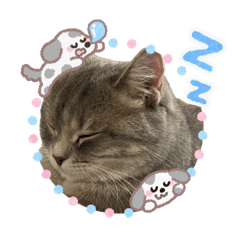 fukufuku_20260414195842