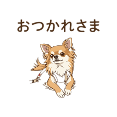 gakky_20260414224845
