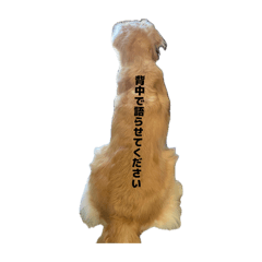 chipa_20260415001114