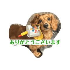 yuuuu_20260415001739