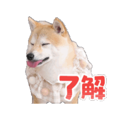 R_20260415154451