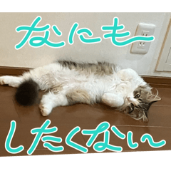 kuuuu_20260414225845