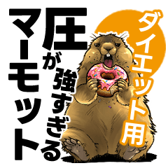 Intense Marmot: Diet Edition
