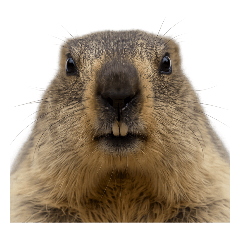 Kathy Studio_20260414202012