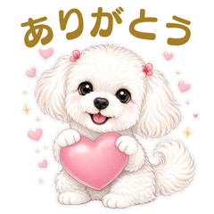 Every Day Together  Fluffy Bolognese2