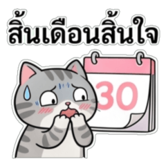 Broke Shorthair: End of Month Crisis