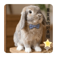我是一隻可愛的小兔子