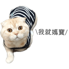 蔡蔡的11個好朋友