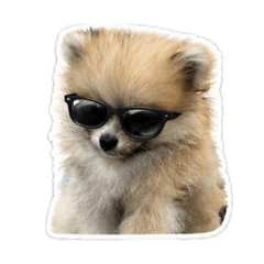 土豆寶寶生活系列