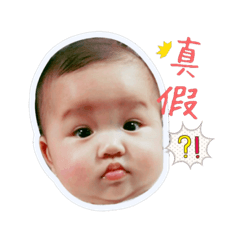 我的肉包日記