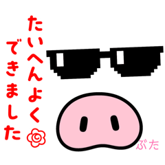 chiko_20260411184521