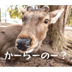 hiroara_20260411153538