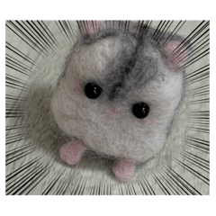 berry_20260411185030