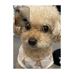 Booothu_20260411185142