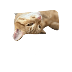 K_20260411215434