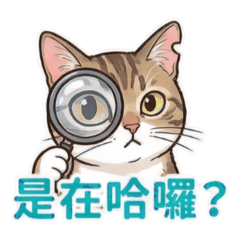 達樂的小劇場2.0