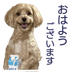 まるちゃん、牛乳持ってる