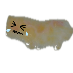 Pipepo_20260415144233