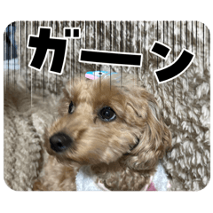 erika_20260415150211