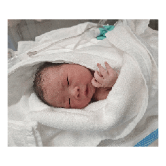 sally.y_20260415174928