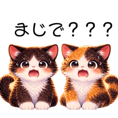 Ponzu_20260415151743