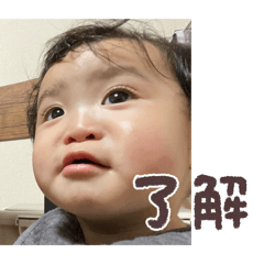 handa_20260415152146