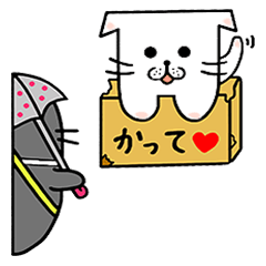 Ribbon Seal with Hokkaido cat