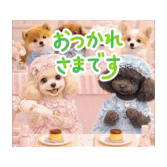 tiarapure_20260416062011