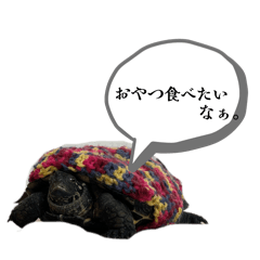 msms@_20260415153934