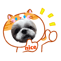 TAKUMA917_20260415074043