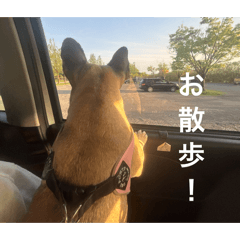 kinako_20260415072023