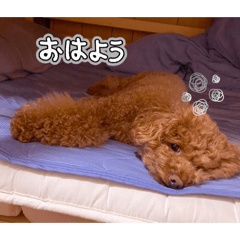 tsuna_20260415071823