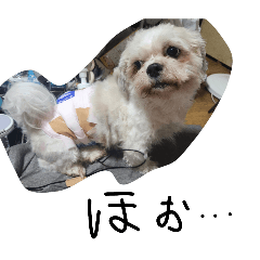 mikiti_20260415122211