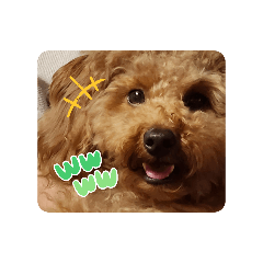 oyuzu_20260415155509