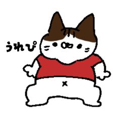 A naughty bicolor cat